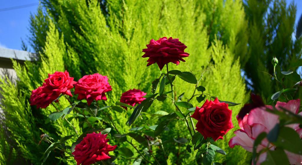 לה ספציה La Casa Delle Rose Room With Air Conditioning מראה חיצוני תמונה